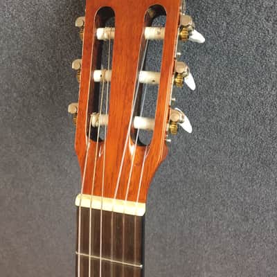 Greg bennett エレガット CT-1CE Greg Bennett CT-1CE Thin-Body All