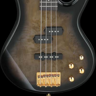 Ibanez Gio SR 4 String Electric Bass - Transparent Pale Black Burst (GSR200PCTPB) image 11