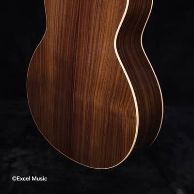 Taylor Gold Label 714e SB Super Auditorium w/HardCase | LR Baggs Element VTC Electronics | Fanned V-Class Bracing | Action Control Neck (Mint Demo Unit) image 19