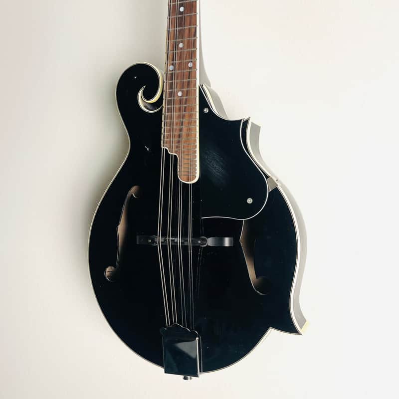 Speranski F-Style Mandolin w case image 1