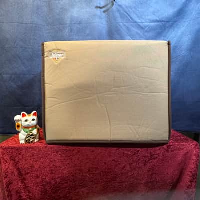 Tungsten Amplification - Buckwheat 112 Combo image 19