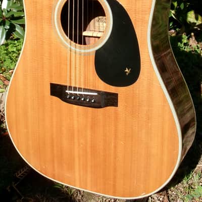 1979 Yairi D35 YW550 Natural + Case image 3