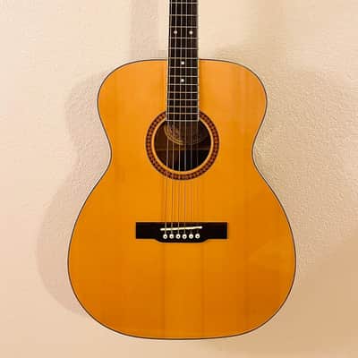 Washburn  F-10S Acoustic Folk Guitar Solid Spruce Top Mahogany Back Sides 2020 Natural/Cherry image 1