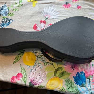 1919 C.F. Martin & Co. Style B Mandolin – All Original w/Case – Excellent Condition image 14