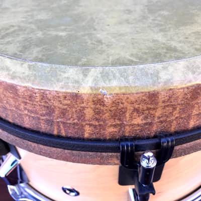 Remo Mondo Snare Drum Natural 14" x 7,5" RARE Acousticon image 11