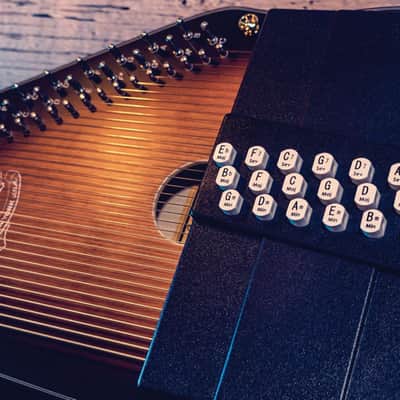Oscar Schmidt OS11021AE "The Americana" 21 Chord Electric Autoharp w/Passive Electronic Pickup image 8