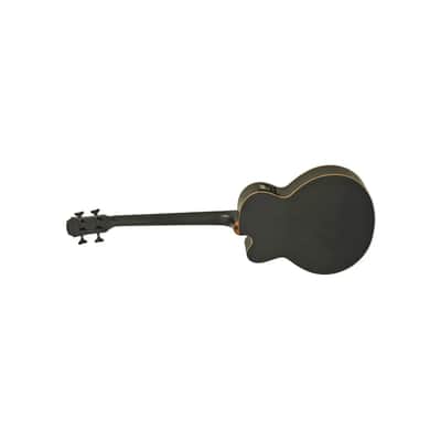 ARIA E. ACOUSTIC BASS 814MM GTR SCALE FRETLESS W/BAG Stained Black FEBF2M-FL-STBK image 6