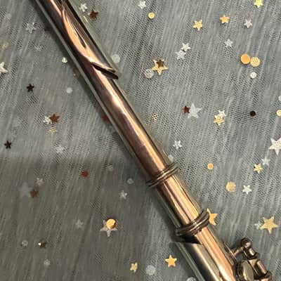 WILLIAM S. HAYNES Db PICCOLO 1923 - STERLING SILVER image 4