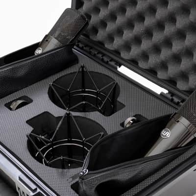 Warm Audio WA-87 TS Titanium Stereo Pair LDC Multipattern Condenser Microphones image 3