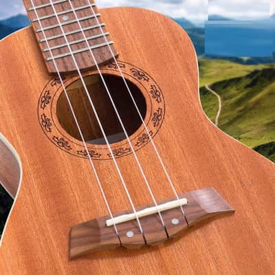 Music , Bundle Includes: 24 Inch Mahogany Ukulele with Aquila Nylgut Strings Installed, Padded Gig Bag, Strap and Picks image 2