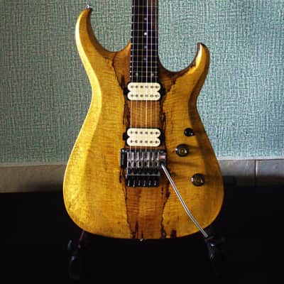 Bakat/Bhakatt Guitar Double Cut 2026 - Satin Polyurethane and oil image 8