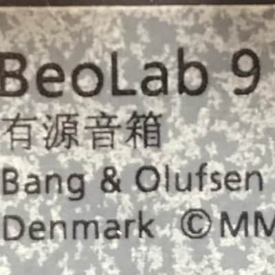 Bang & Olufsen BeoLab 9 Speaker Pair image 8