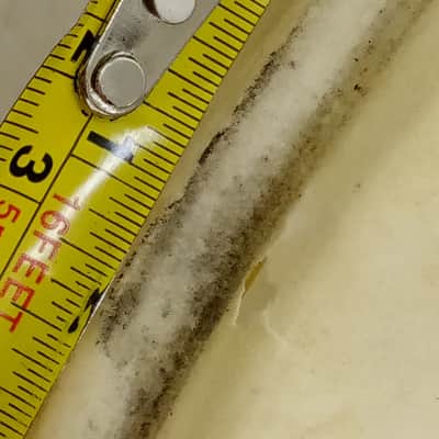 Gretsch 20"Broadkaster Calf Skin Bass Drum Head Professional Quality Vintage 50s image 4