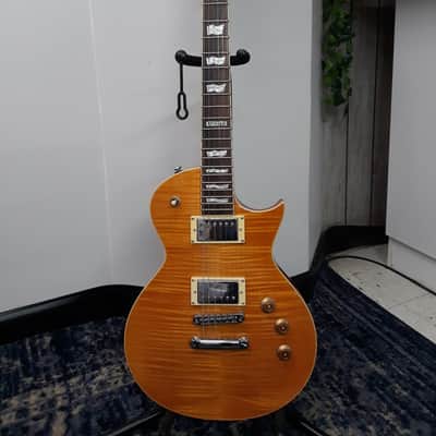 ESP LTD EC-256 Electric Guitar w/ hard shell case - Consignment image 2