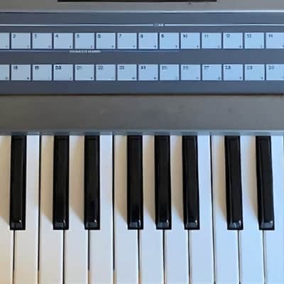 Roland JX-8P Polyphonic Synthesizer 1980s Japan image 6