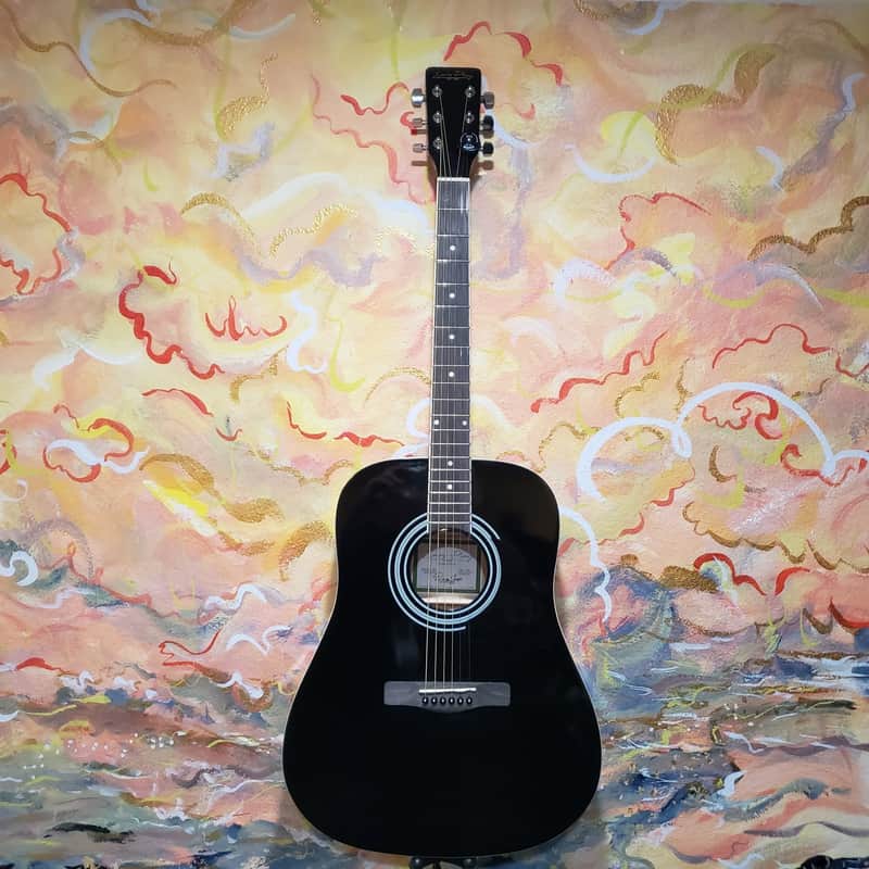 Zager Easy Play 5001PK BK Dreadnought Acoustic Guitar (Used) image 1