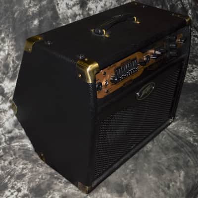 2020 Peavey - Ecoustic 110 Acoustic Amp image 2