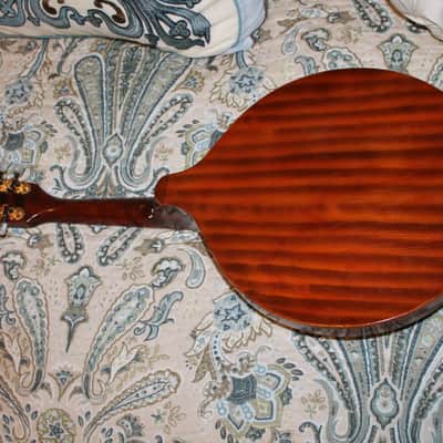 Marvel mandolin mahogany built in flamed wood resonator all in one must sell reduced price a lot image 7