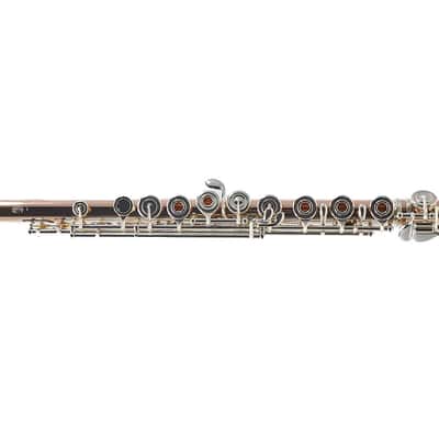 William S. Haynes Custom 14K Gold Flute with Gold Toneholes, Offset G, C# Trill image 4
