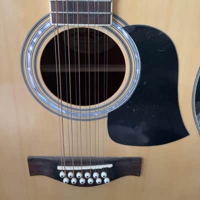 Aria 12 string Dreadnought AW 20 - T - N image 10