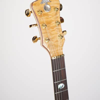 Alembic Darling image 7
