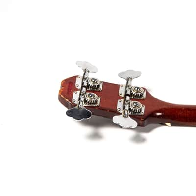 Epiphone Rivoil Owned by Mike Campbell image 22