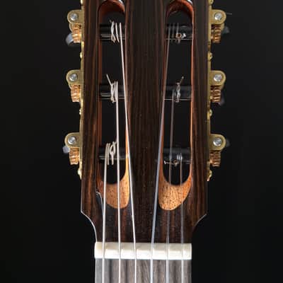 Keisuke Fujii Jazz Nylon with Carlos VIP-DM System image 20