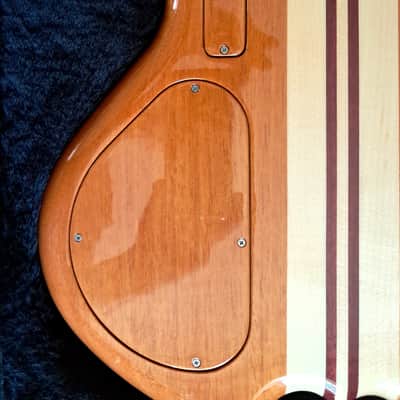 Alembic Darling 2023 - polyester image 12