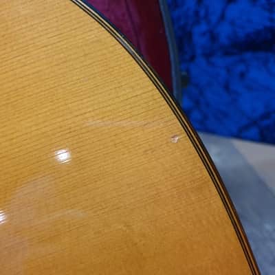 1983 Paulino Bernabe Senior Classical Guitar Nylon 83 80's Rare Collectible image 17