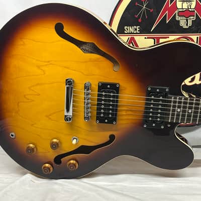 Epiphone Dot Semi-Hollow Body Electric Guitar image 2