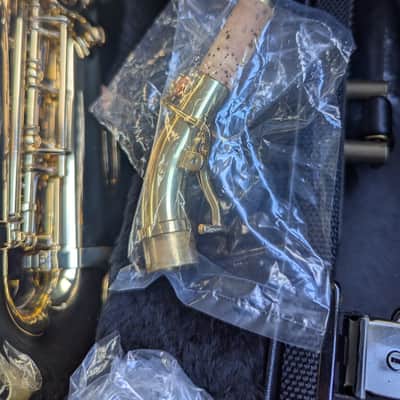Yanagisawa sc-wo10 2025 - gold image 17