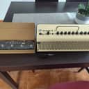 Yamaha THR30II Cream 30 Watt + Line 6 Relay G10 + XSonic Airstep YT edition