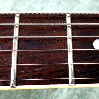 Aria Pro II LS500 1981 - Les Paul Copy (Matsumoku, MIJ) image 6