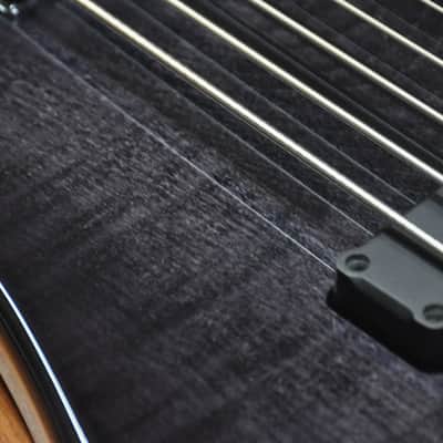 Vigier Passion 6 Series III Trans Black image 5