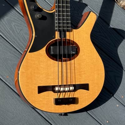 Citron AE-4 Swallow Bass 2009  - killer all around invention from Harvey Citron of Velette-Citron Basses. image 1