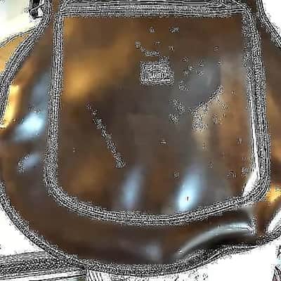Rare First Version Vintage 1955 Gretsch Cowboy Case For 6120