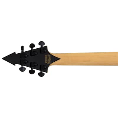 Wylde Audio RawTop Warhammer FR Norse Dragon Bullseye Guitar B-Stock 0175 image 7