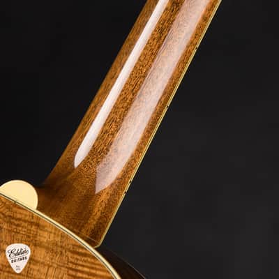 Fairbanks F-20 Argentine Grey - European Spruce & Flamed Koa #0526415 image 10
