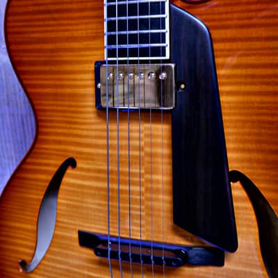 Sadowsky Jim Hall Archtop - Violin Burst image 8