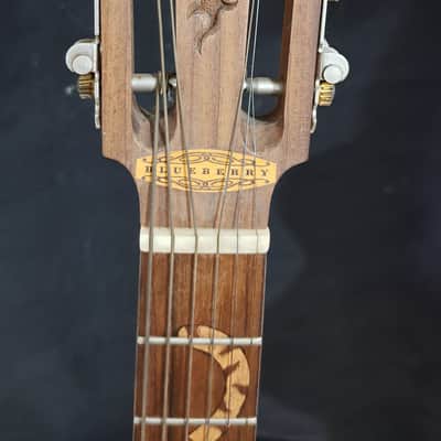 Blueberry NEW IN STOCK Handmade Acoustic Guitar Parlor Sized image 4