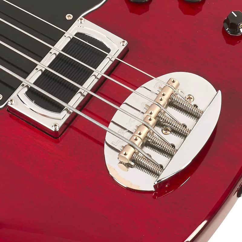Lakland Skyline Decade image 10