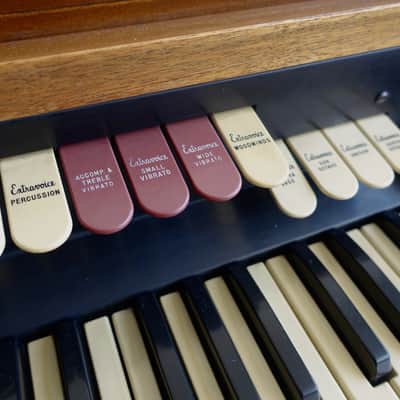 Hammond F100 Extravoice Tube Organ / Solovox / Novachord image 9