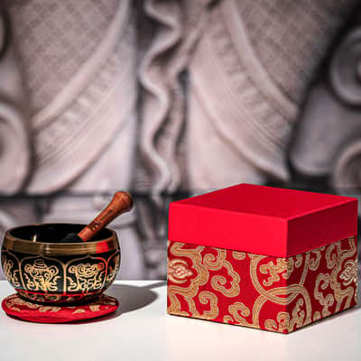Meinl Singing Bowl SB-OR-300-R image 4
