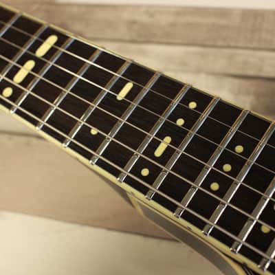 Duesenberg Alliance Series Joe Walsh - Gold Burst image 8