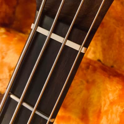 Cohnway All Rosewood Tele Bass / Fender Hard Case image 10