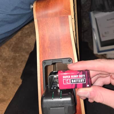 Folkfriends Cittern Early 2020s image 5