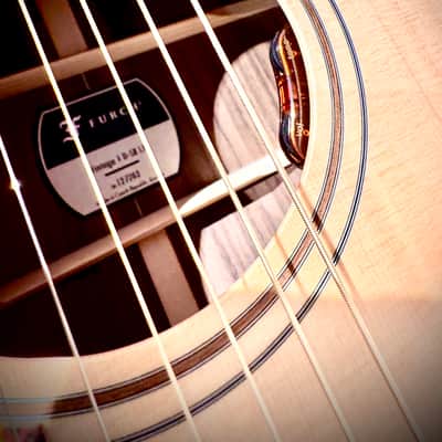 Furch Guitars VINTAGE 1 LH 1 D SR EAS VTC Lefty/Zurdos/Gaucher (CUSTOM ORDER) UNIQUE IN  WOLRD image 25