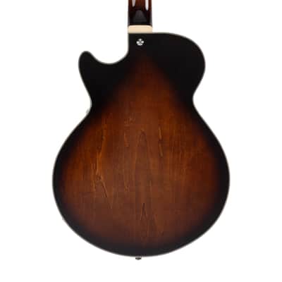 D'Angelico Premier SS Black Flake + Bag Bild 6