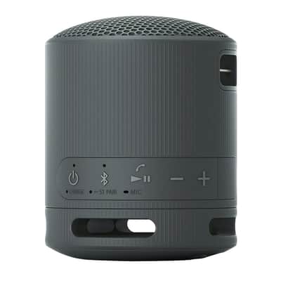Sony SRS-XB100 Wireless Bluetooth Portable Speaker (Black) with Case Bundle image 5
