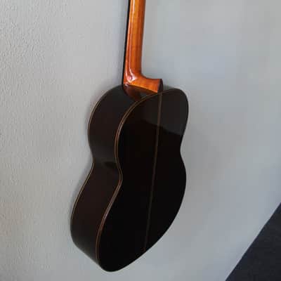 Brand New Cordoba C10 Spruce Top Classical Guitar image 9